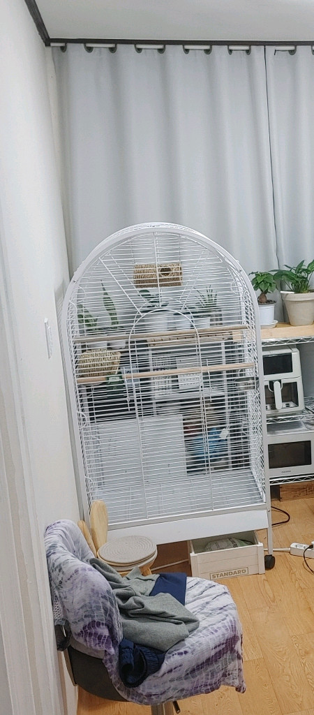 대형 아치형 화이트 새장 케이지 이미지