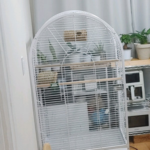 대형 아치형 화이트 새장 케이지 이미지