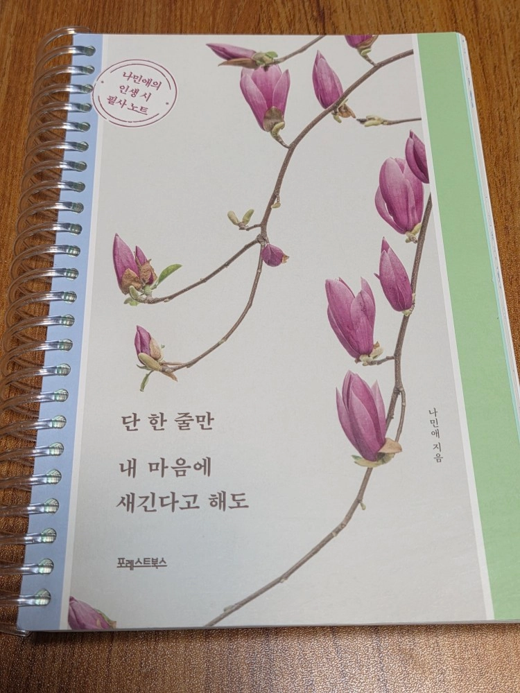 책) 단 한 줄만 내 마음에 새긴다고 해도, 조선민담집, 애프터 넷플릭스, 최고의 주식 최적의 타이밍, 일론 이미지