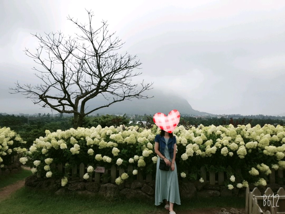 데님 반팔 크롭자켓 이미지