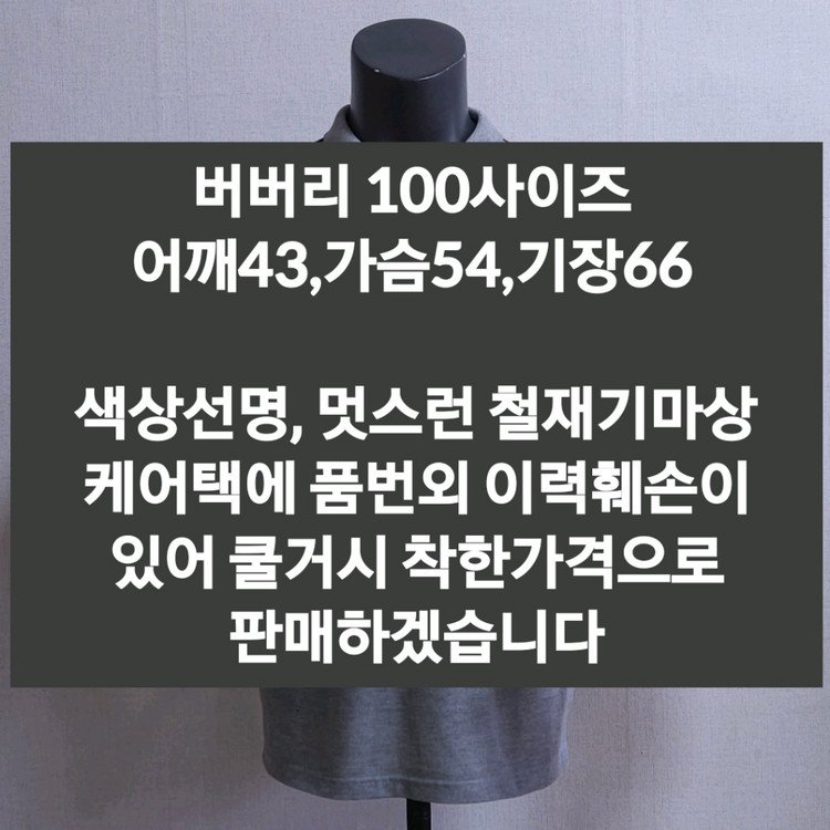 버버리 반팔티셔츠 100 이미지