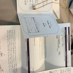 부쉐론 화이트에디션 콰트로S 다이아 목걸이 이미지