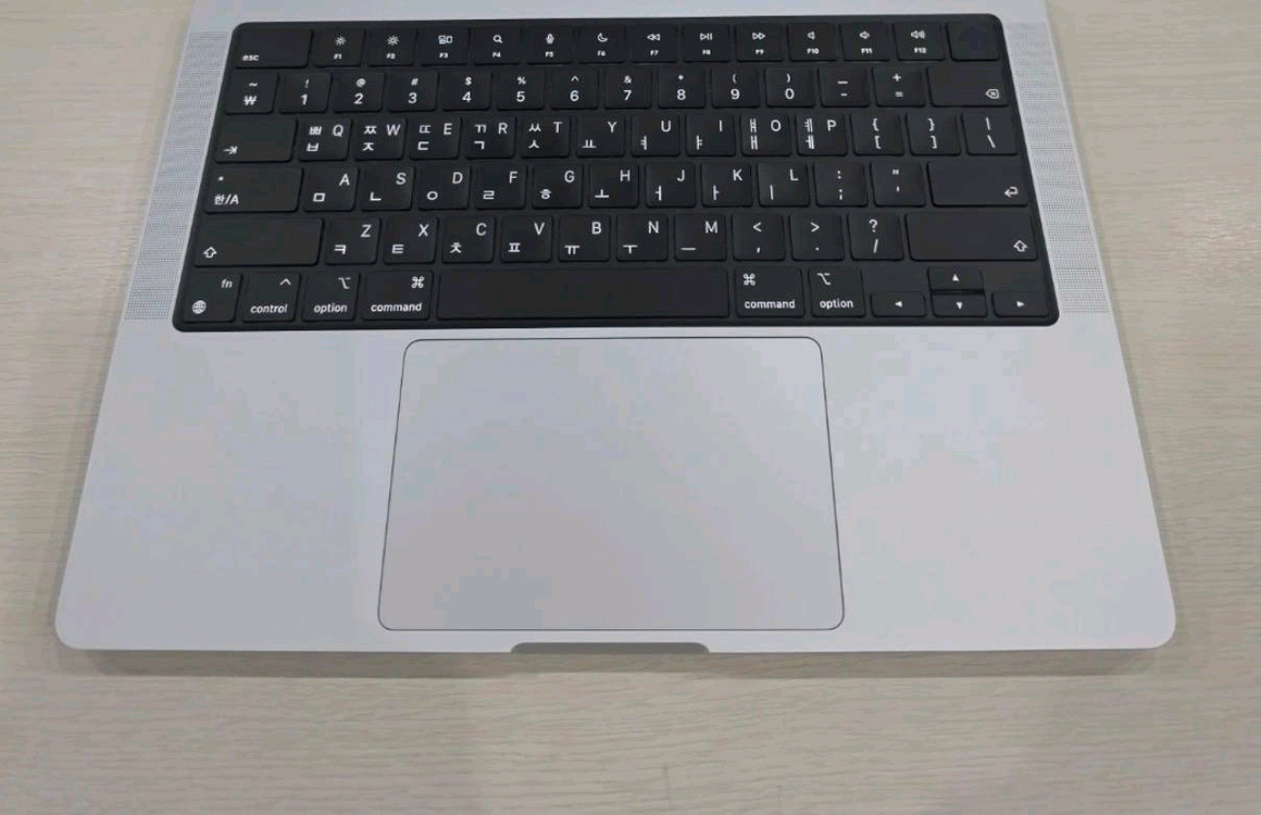 Apple MacBook Pro 14 M1 Pro 16GB 1TB 실버 이미지