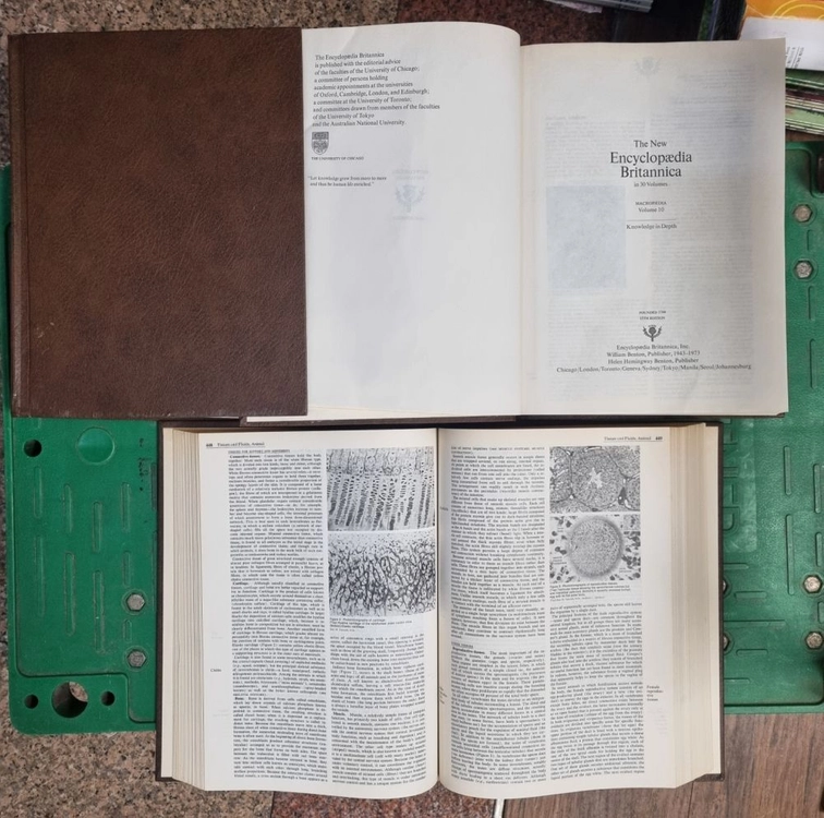 Encyclopedia Britannica 윌리엄벤튼 30권 세트 배송비 포함 안전결제 가능 백과사전 중고책 이미지