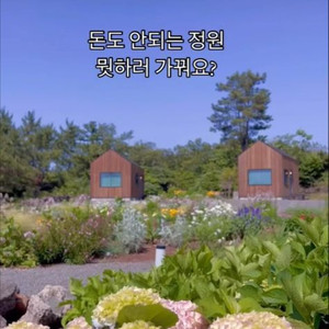 제주도 임미임미 독채숙소 양도 5/23 이미지