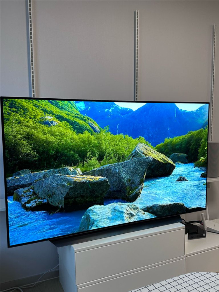 LG 올레드 TV OLED65CXPUA(게임, 영화) 이미지