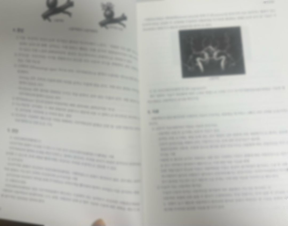 간호학과 Case Study 책 & 실습책 이미지