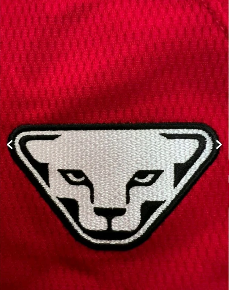 SSG LANDERS 야구 선수 입었던 유니폼 저지 져지 KBO baseball PLAYER WORN JERSEY 이미지