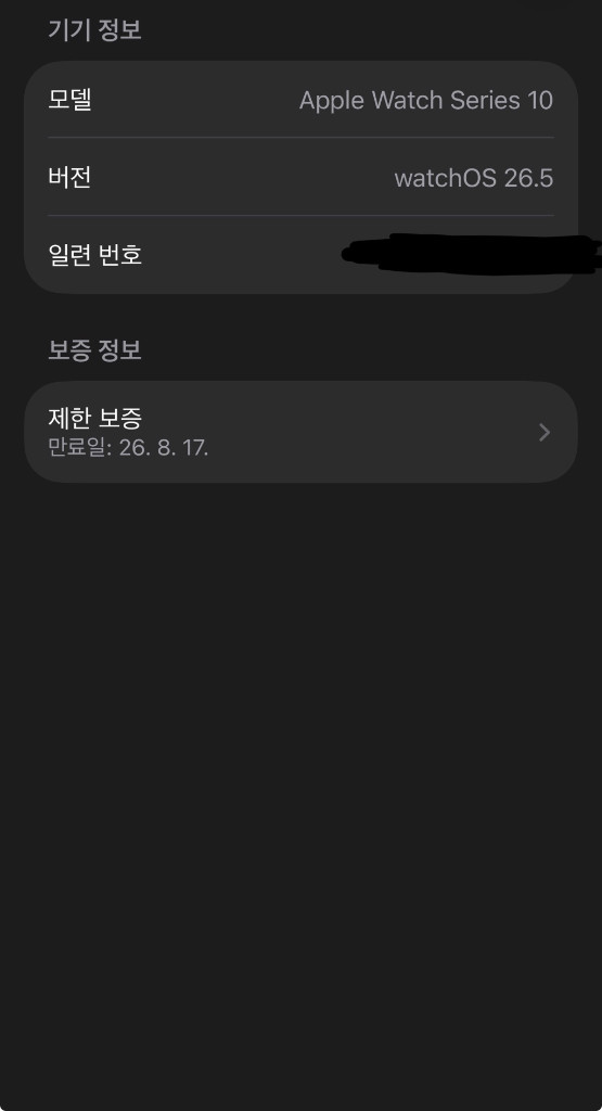 애플워치10 46mm 에르메스 + 킬림누아 밴드 이미지