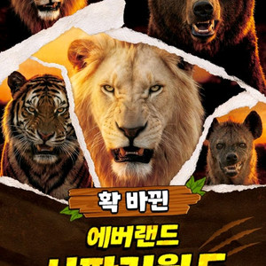 에버랜드 자유이용권 모바일티켓 이미지