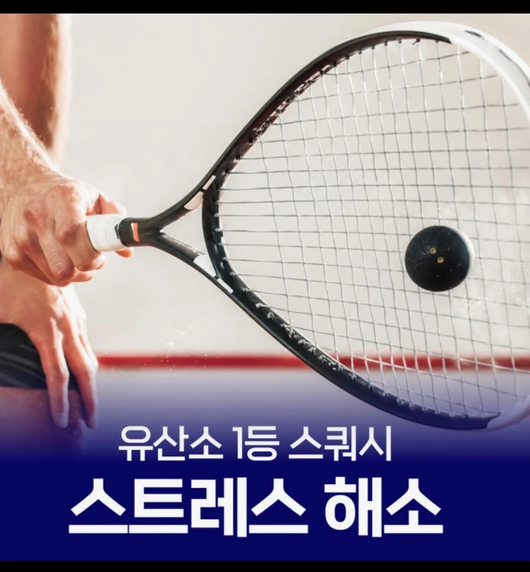 은평 고양 스쿼시 20회 염가 양도 (양도비용 대신내드립니다) 이미지