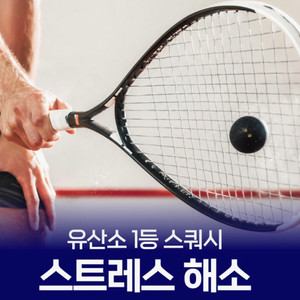 은평 고양 스쿼시 20회 염가 양도 (양도비용 대신내드립니다) 이미지