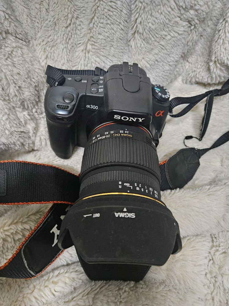 소니 dslr a300+시그마 24-600mm 렌즈 카메라 이미지