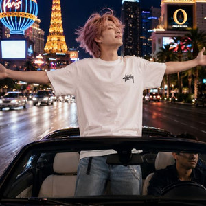STUSSY 스투시 퍼지 다이스 그래픽 반팔 티셔츠 이미지