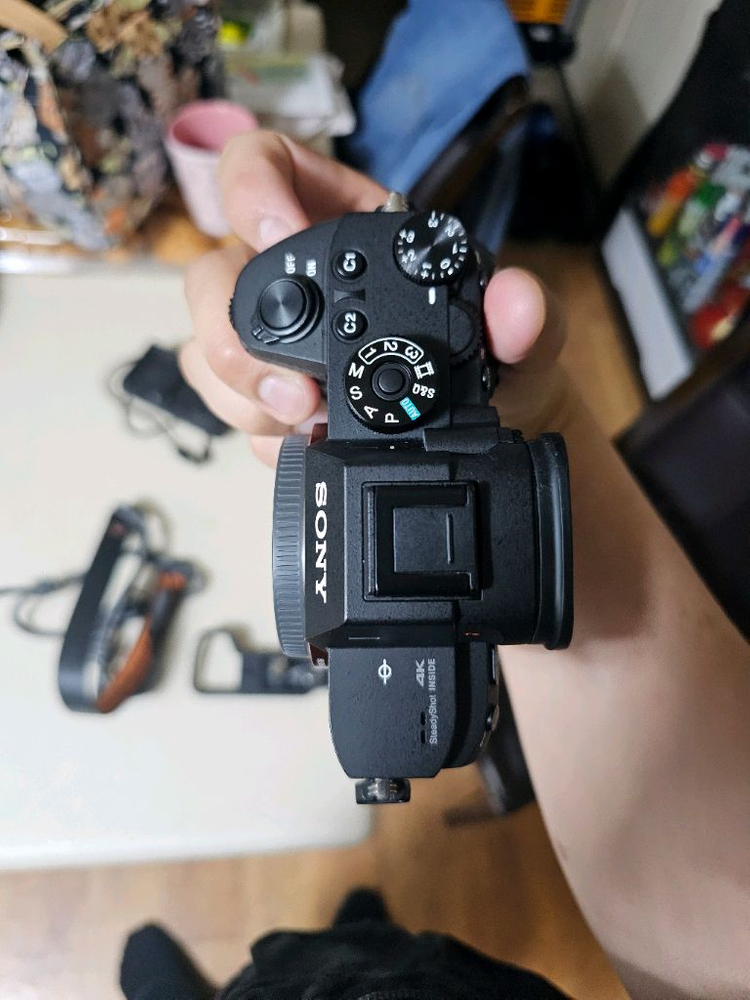 소니 a7r3 풀프레임 미러리스 카메라 2만5천컷 이미지