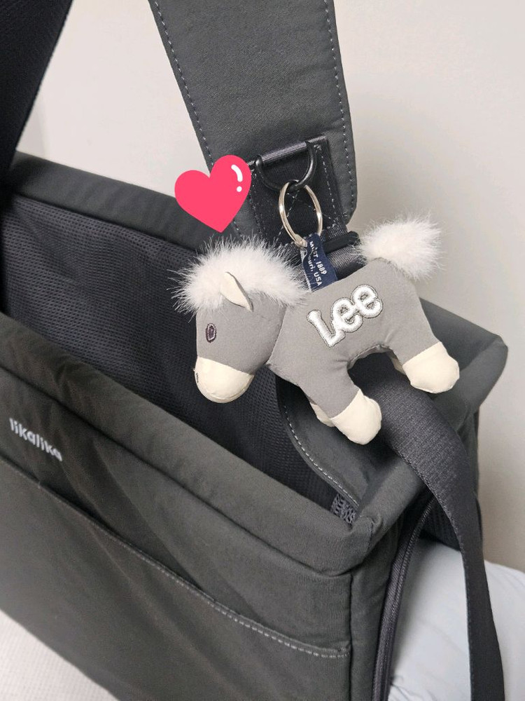 리카리카 슬링백 강아지 이동가방 이미지