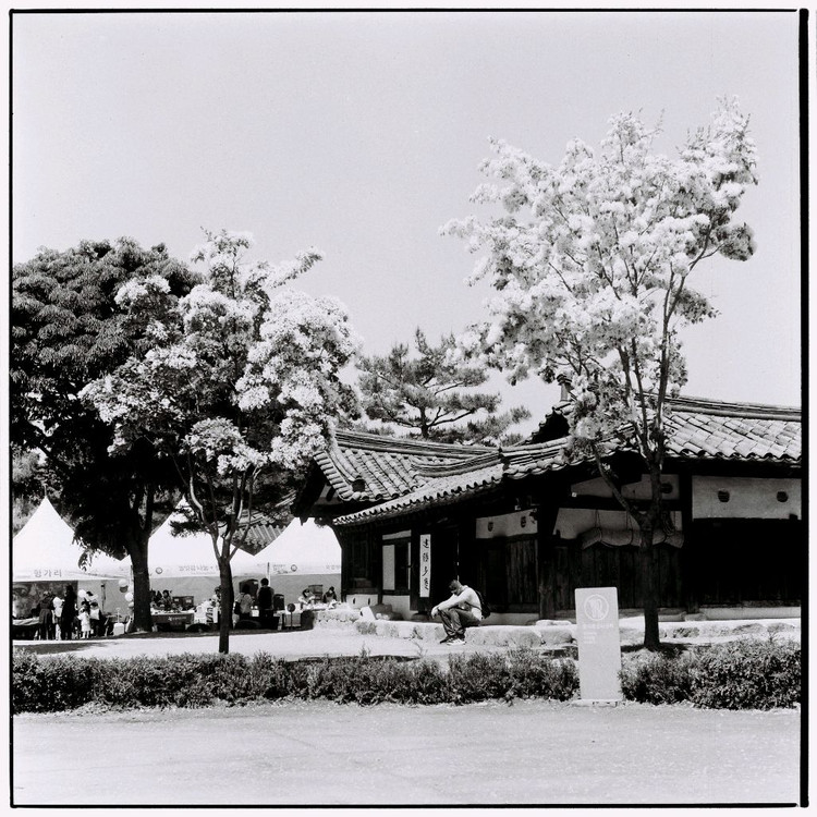 중형카메라 핫셀블라드 500c + 플라나80mm 이미지