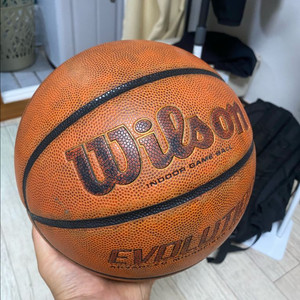 윌슨에볼루션7호 농구공 이미지