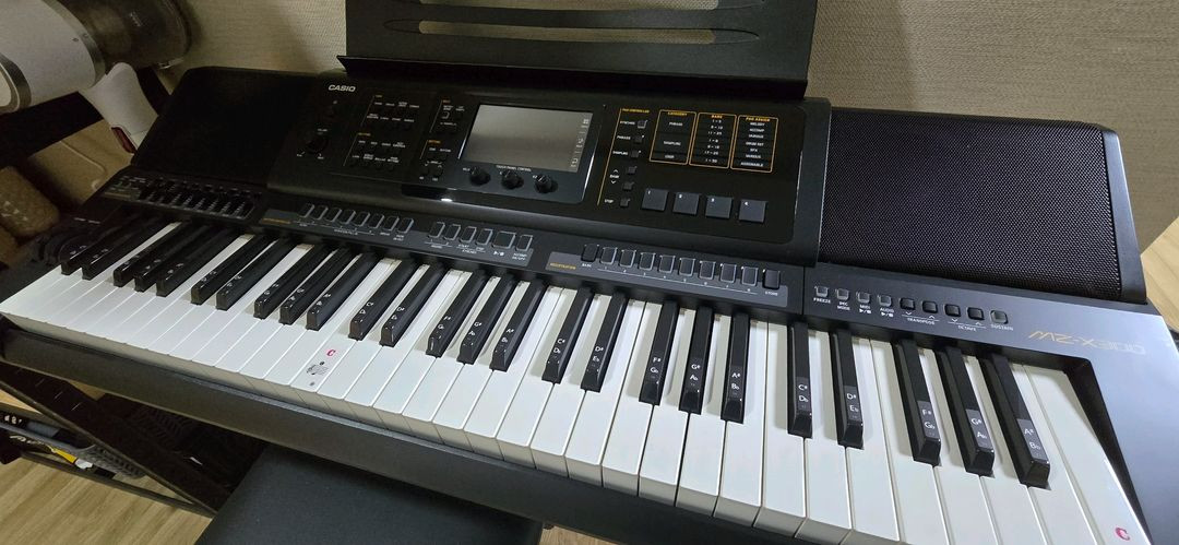 MZ-X300 카시오 전자키보드 이미지