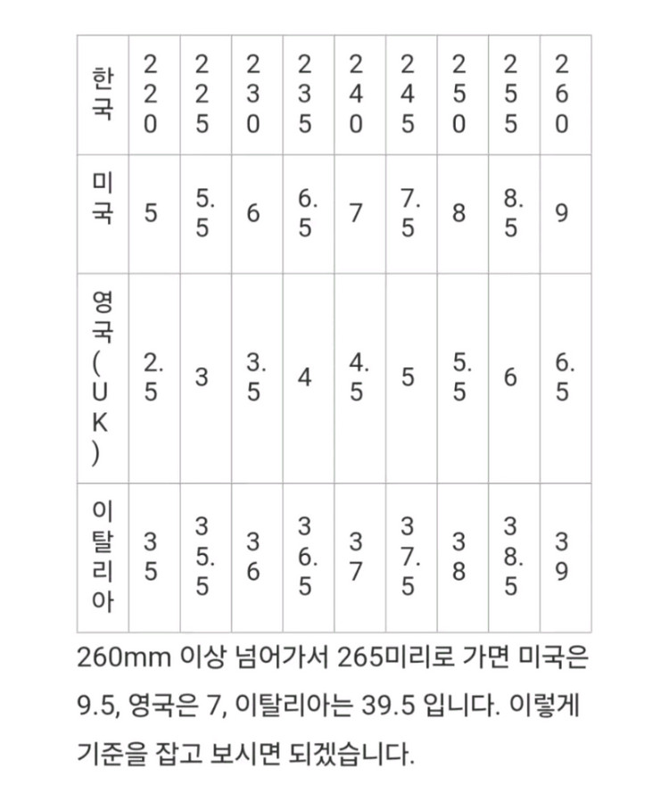 [정품 파격가 여성용] 알렉산더 맥퀸 스니커즈 신발 운동화 39.5 루이비통 샤넬 구찌 펜디 프라다 디올 버버리 이미지