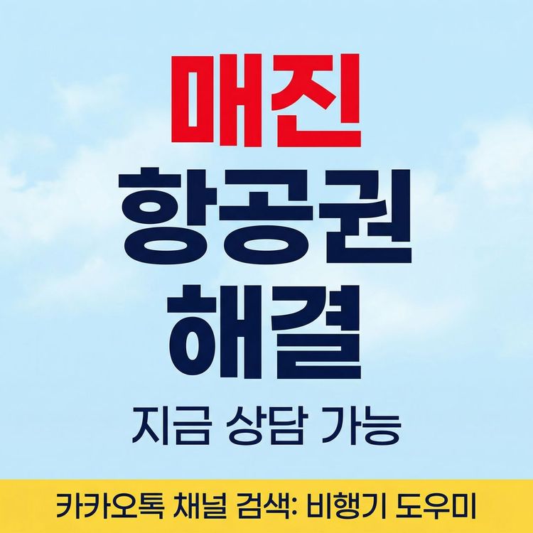 마감임박) 매진 비행기표 제주-김포/부산/청주/대구/광주 이미지