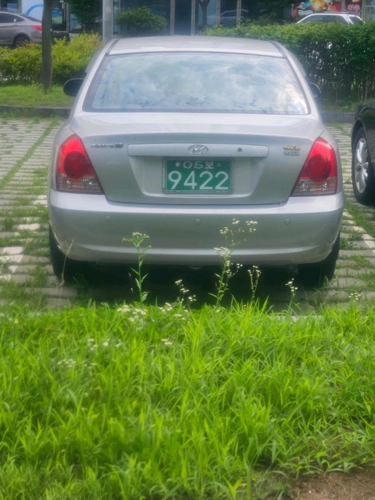 2006 뉴아반떼 XD 1.6VVT 골드 기본형 이미지