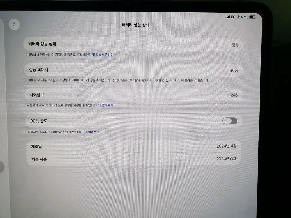 아이패드프로13인치 m4 256g 셀룰러 이미지