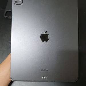 아이패드프로13인치 m4 256g 셀룰러 이미지