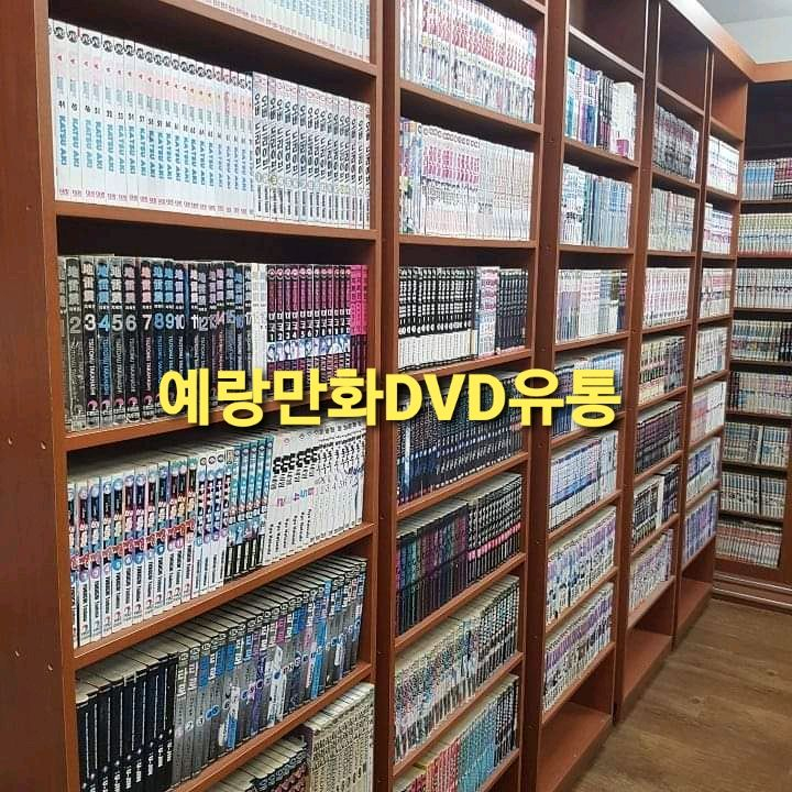 300개 만화방책장 만화카페책장 선반 다이 칸막이 진열 이미지