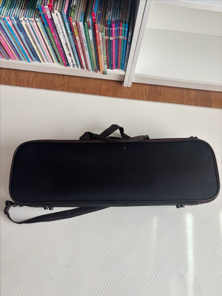 알버트웨버 바이올린 발렌시아 1/2 이미지