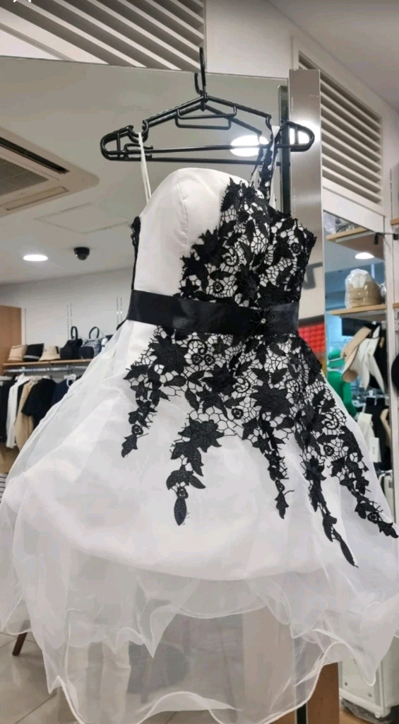 성인 드레스 파티복 이미지