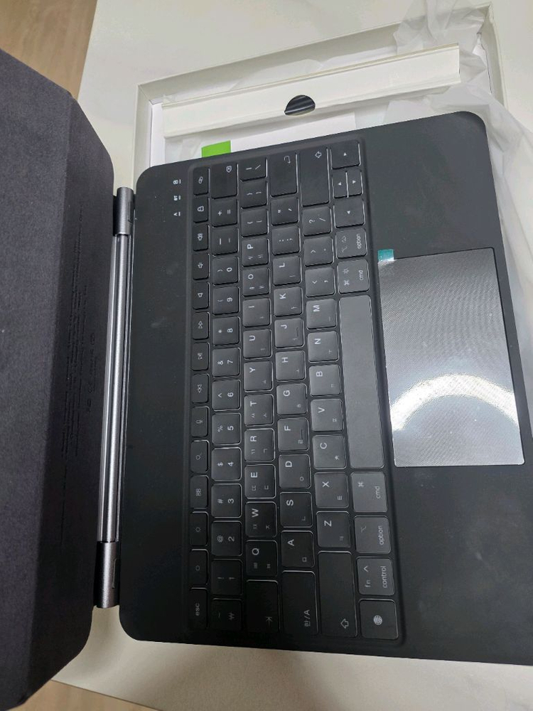 아이패드프로 13m4 512 셀룰러 이미지