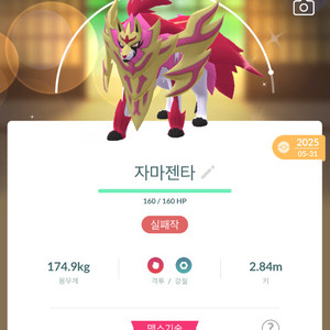 포켓몬고 방패왕 자마젠타 이로치 or 배경 이미지