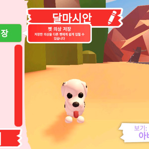 입양하세요 펫 달마시안(산강) 판매 합니다 이미지