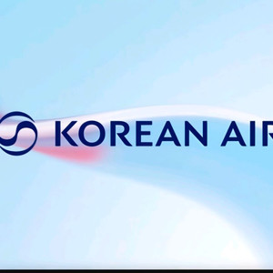 대한항공 승무원 압박스타킹 새제품 이미지