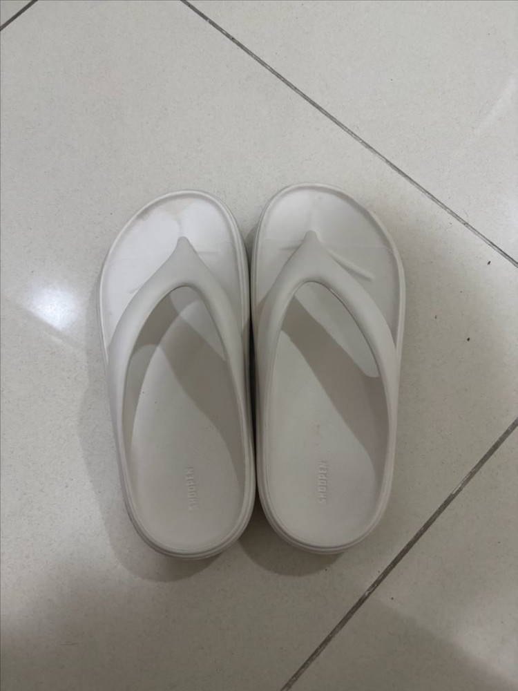 쪼리 (230) 이미지