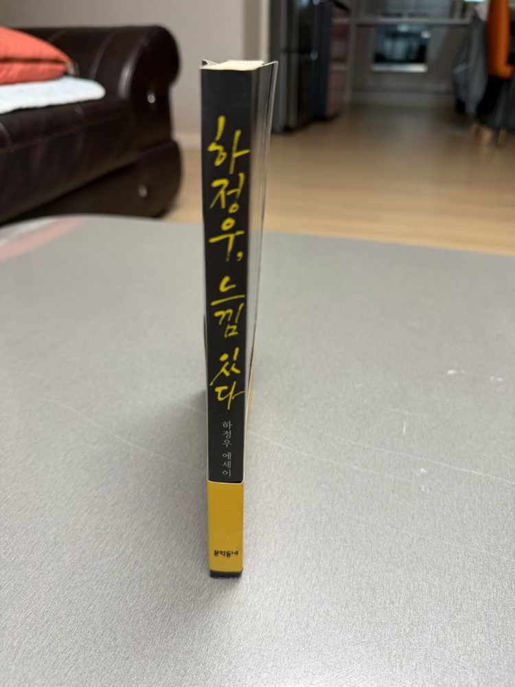 새상품) 하정우 에세이, 느낌 있다 이미지