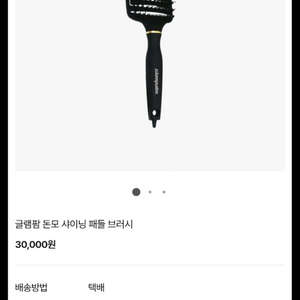 글램팜 돈모 샤이닝 패들 브러시 이미지