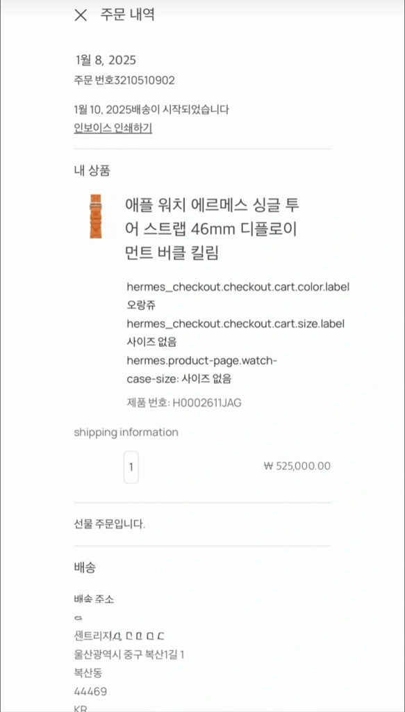 에르메스 애플워치 킬림 스트랩 디플로이먼트 버클 오랑쥬 46mm 이미지