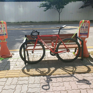픽시 쓰나미 판,대 이미지