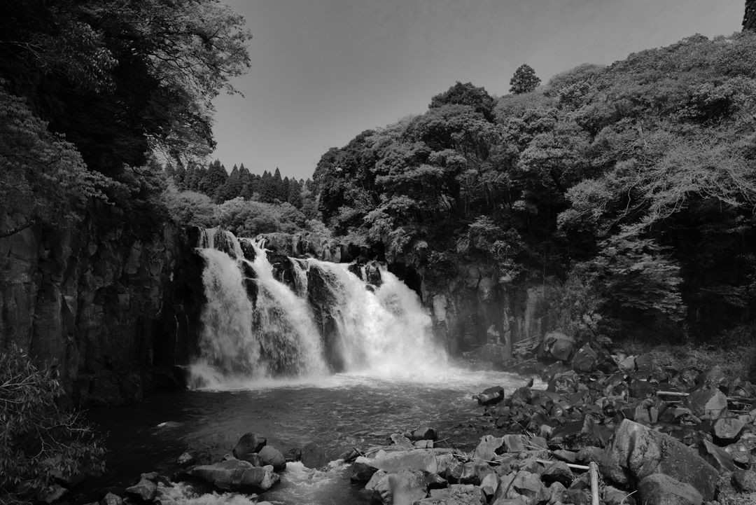 라이카 Q2 모노크롬 Monochrome (보증기간 있음) 이미지