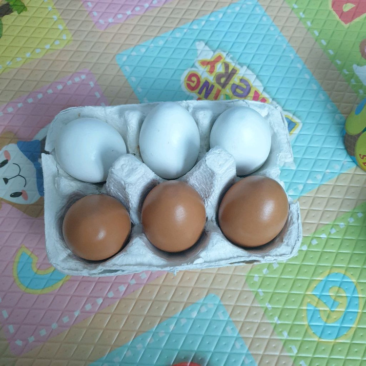 멜리사앤더그 통조림 이미지