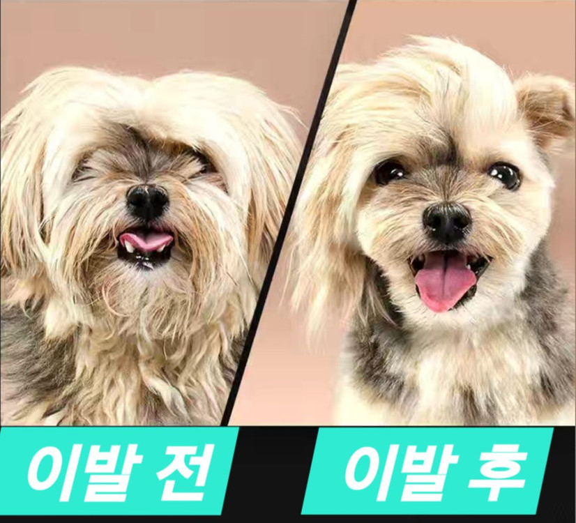 7인치 고급 애견 미용가위3p+구성품 풀세트(새상품) 이미지