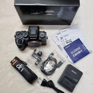 소니 A1 , A7R5 이미지