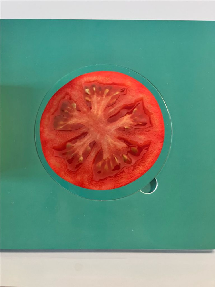 프뢰벨 영아다중 샌드위치 만들기 이미지