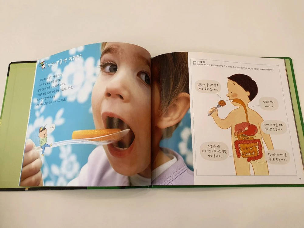 탄탄 와이드 자연속으로 완결편 전집 100권 / 상태좋음 이미지
