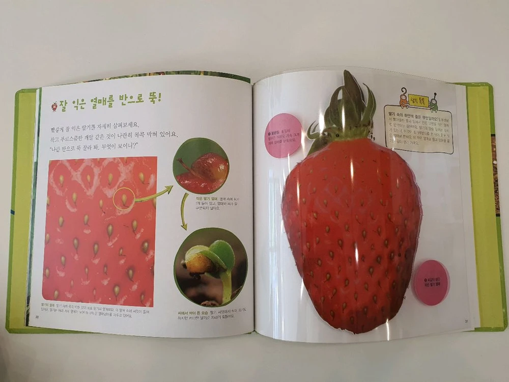 탄탄 와이드 자연속으로 완결편 전집 100권 / 상태좋음 이미지