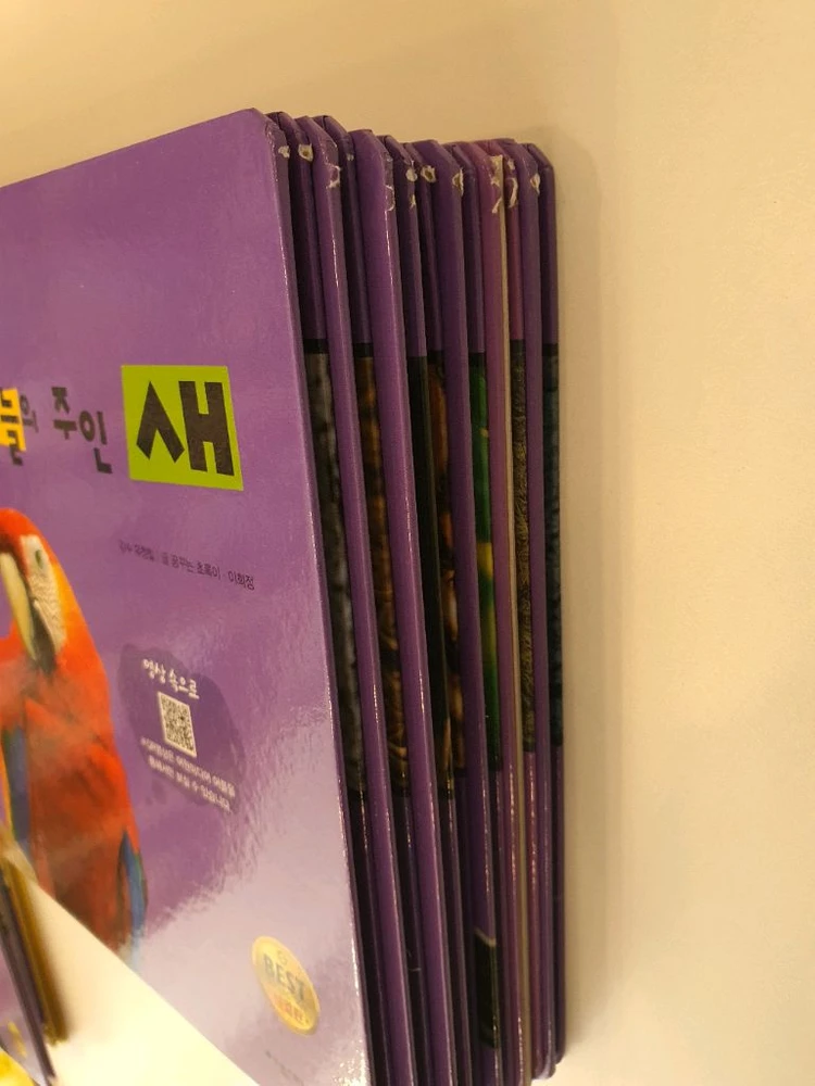 탄탄 와이드 자연속으로 완결편 전집 100권 / 상태좋음 이미지