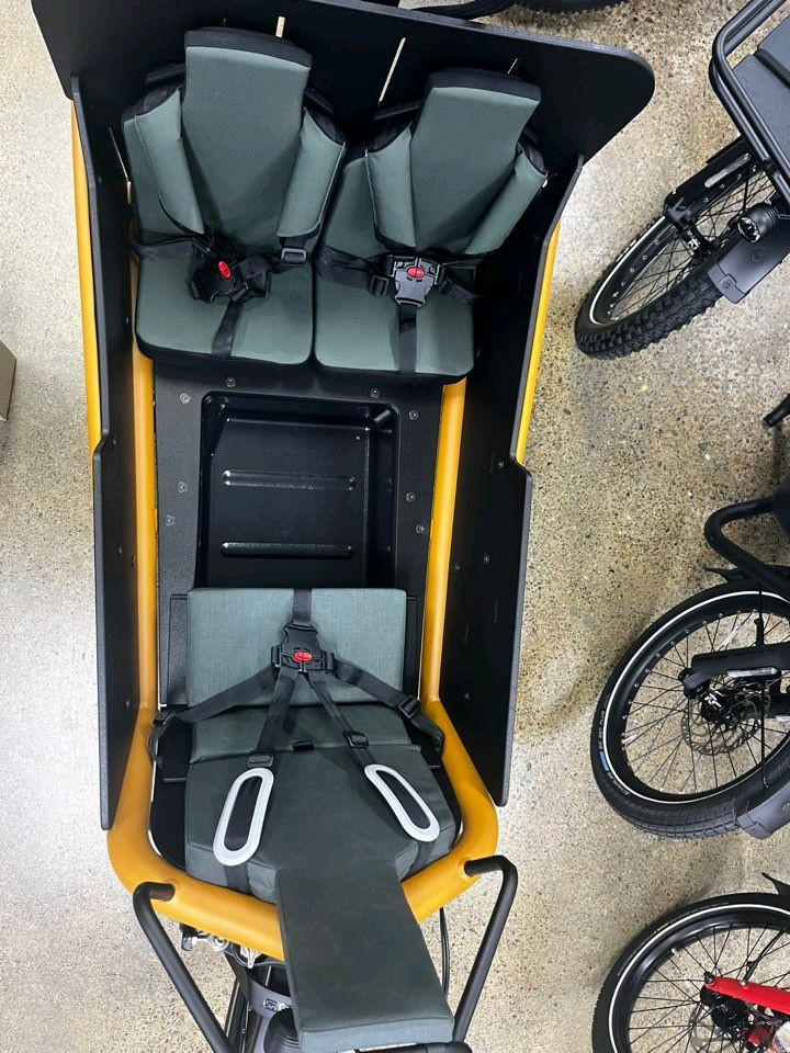 독일 명품 리즈앤뮐러 패밀리카고바이크 load4 75 vario 이미지