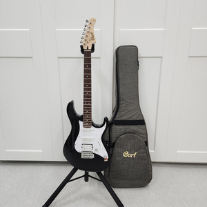 콜트 스트랫 일렉기타 G250 블랙 이미지
